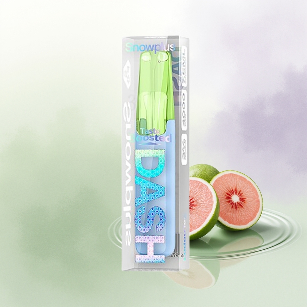 Snowplus Dash 4000 Puffs Ludou Ledus Keramikas 530 mAh