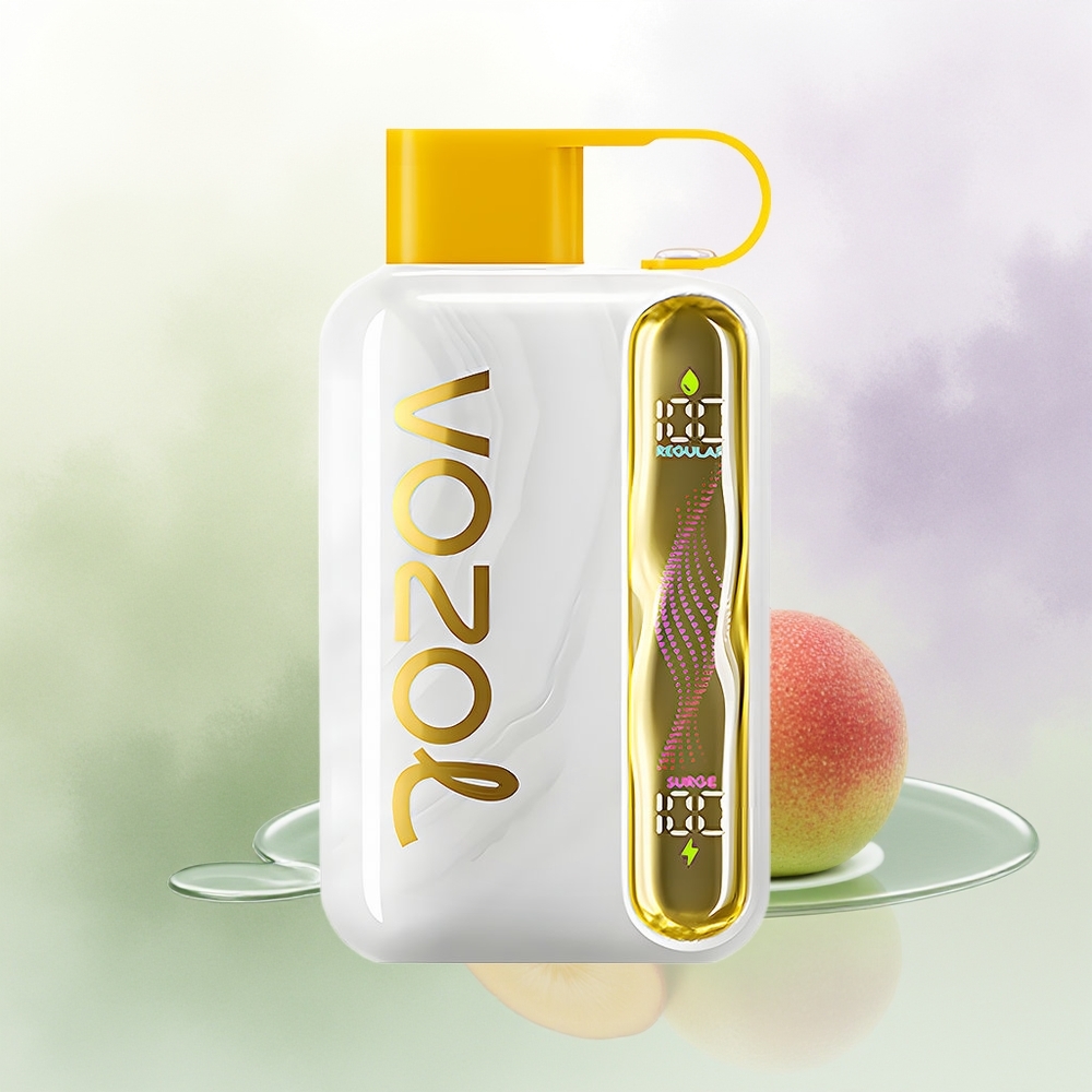 VOZOL STAR 40000 Pūšu Vienreizējās Lietošanas Vape Manga Ledus ar 1000mAh bateriju un Type-C uzlādi