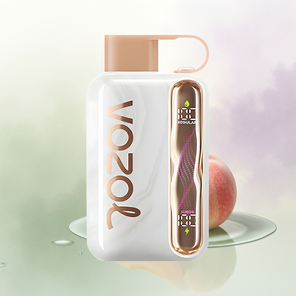 VOZOL STAR 40000 Pūšu Vienreizējās Lietošanas Vape Persiku Ledus ar 1000mAh un Type-C